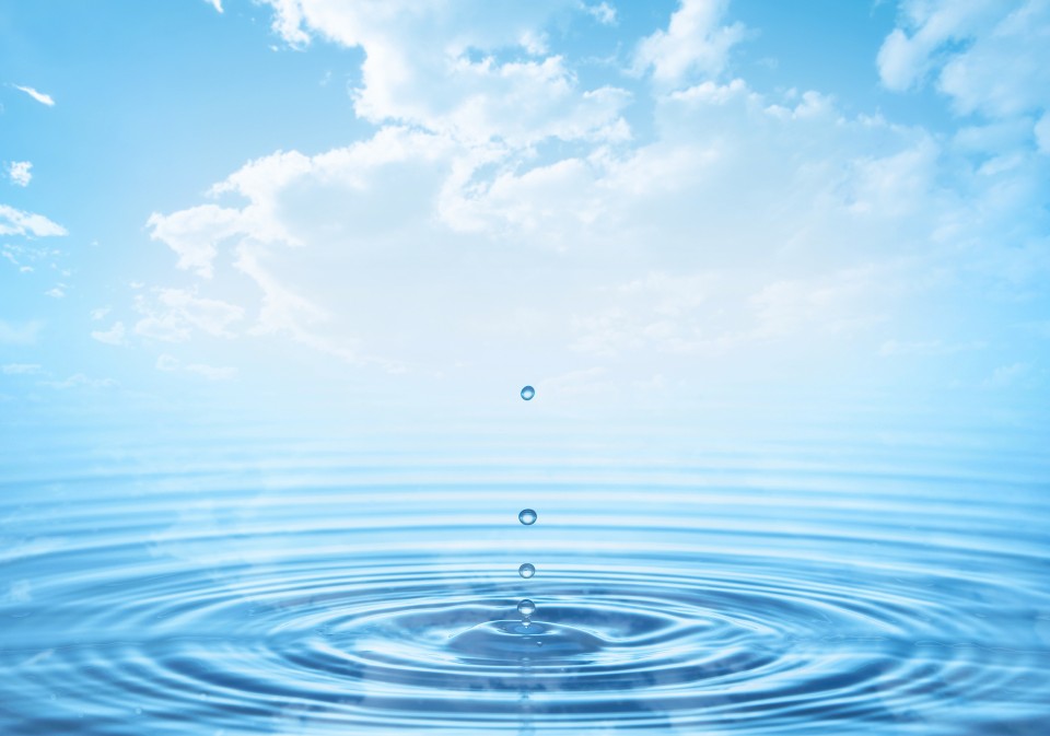 事業内容について